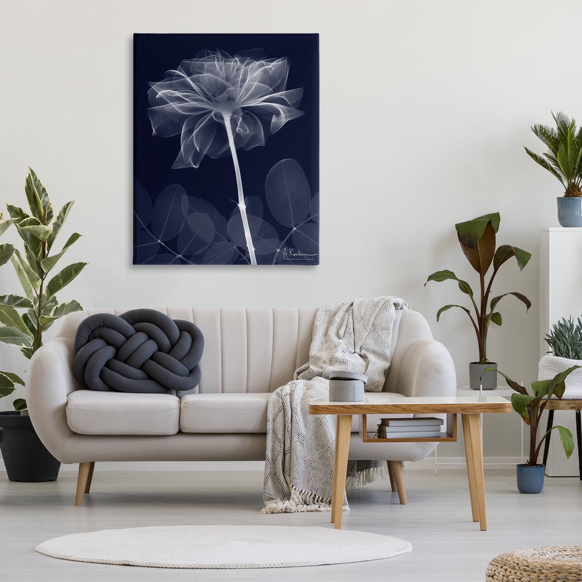 Stupell Industries Dark Flower Shape Botanical & Floral Photography Gallery Wrapped Canvas Art Print Wall Art, 36 x 48