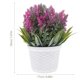 thumbnail image 2 of IDEANATEGRATE Planta Artificial En Maceta Simulación Lavanda Decorativa Para Interior Color Multi, 2 of 6