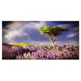 thumbnail image 2 of Green Tree in Lavender Field - Modern Landscape Wall Art Canvas, 2 of 3