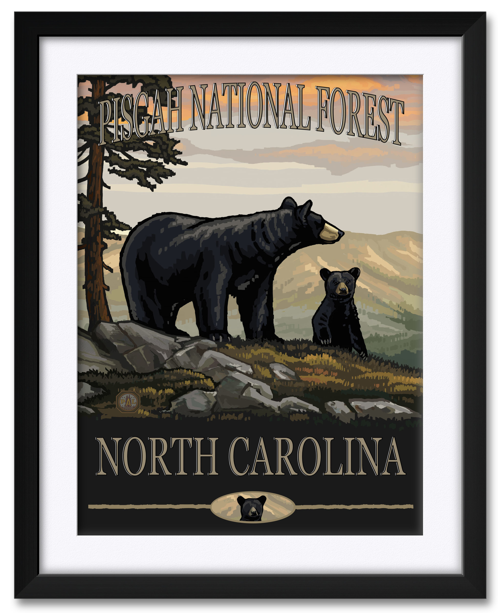Pisgah National Forest North Carolina Black Bear Family Framed & Matted