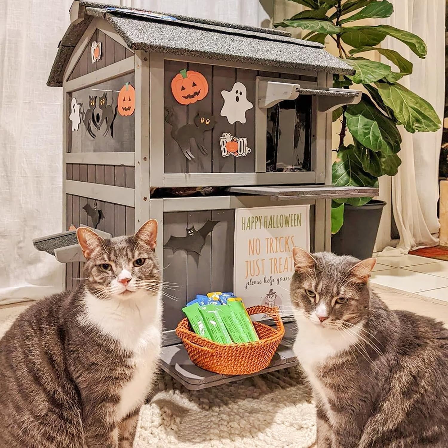 Aivituvin Insulated Outdoor Cat House, Weatherproof Outside Feral Cat Shelter for Winter, 2 Story Kitten House