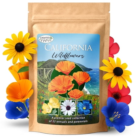 California Wildflower Seed Mix with Poppies, 22 Flower Varieties, 54,000  Seeds - Created By Nature