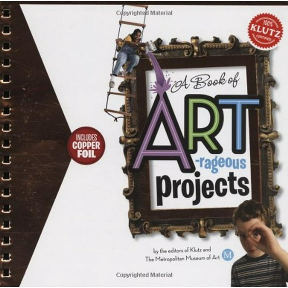Pre-Owned A Book of Artrageous Projects Paperback