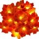 thumbnail image 1 of Guirnalda de otoño, decoración de otoño, 30 luces de hadas, hojas de otoño, decoración de Navidad de Halloween, decoración de acción de gracias, decoración de pared esquí esquí Gafas de esquí, 1 of 5