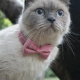 thumbnail image 3 of Flmtop Pet Collar Beautiful Adjustable Bowknot Shape Decorative Pet Accessories for Cat Dog Red, 3 of 9