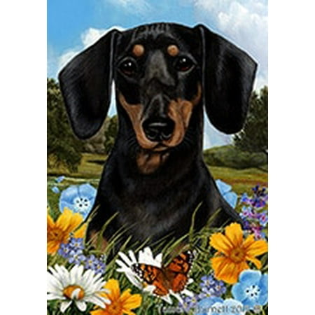 Dachshund Black and Tan - Best of Breed Summer Flowers Large (Best Black And Tan)
