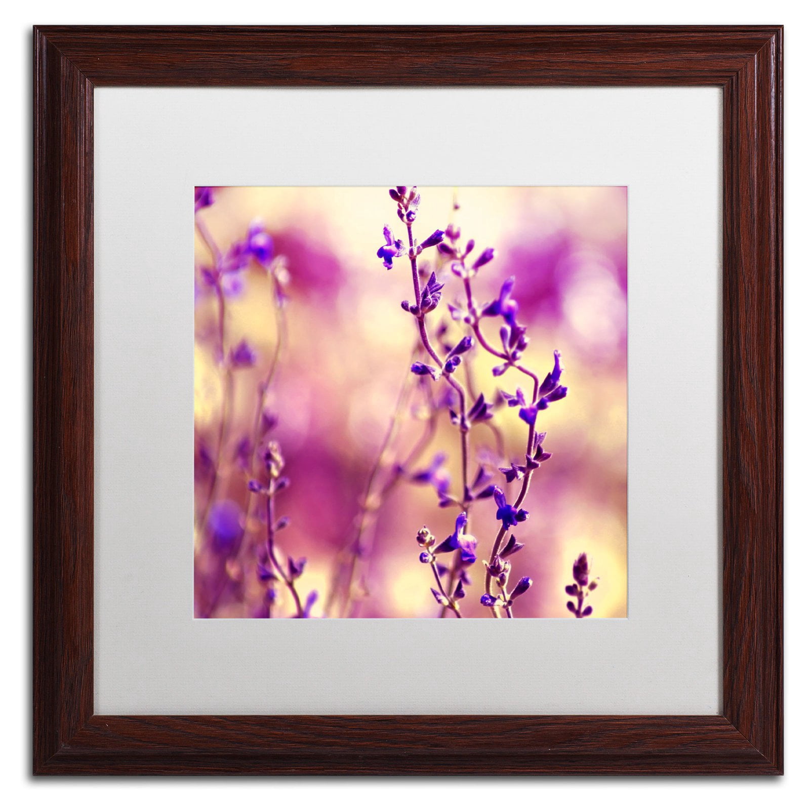 Trademark Fine Art "Summer Melodies" Canvas Art by Beata Czyzowska Young White Matte, Black Frame