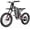 Freego X2 Pro Gray, variant on 6000W(Peak)Motor Electric Motorcycle Electric Dirt Bike for Adults, 50MPH Electric Dirt Bicycle Freego X2 Pro, 60V30AH 1800wh Battery, 19x2 Tire Full Suspension Hydraulic Brake Half Throttle UL2849