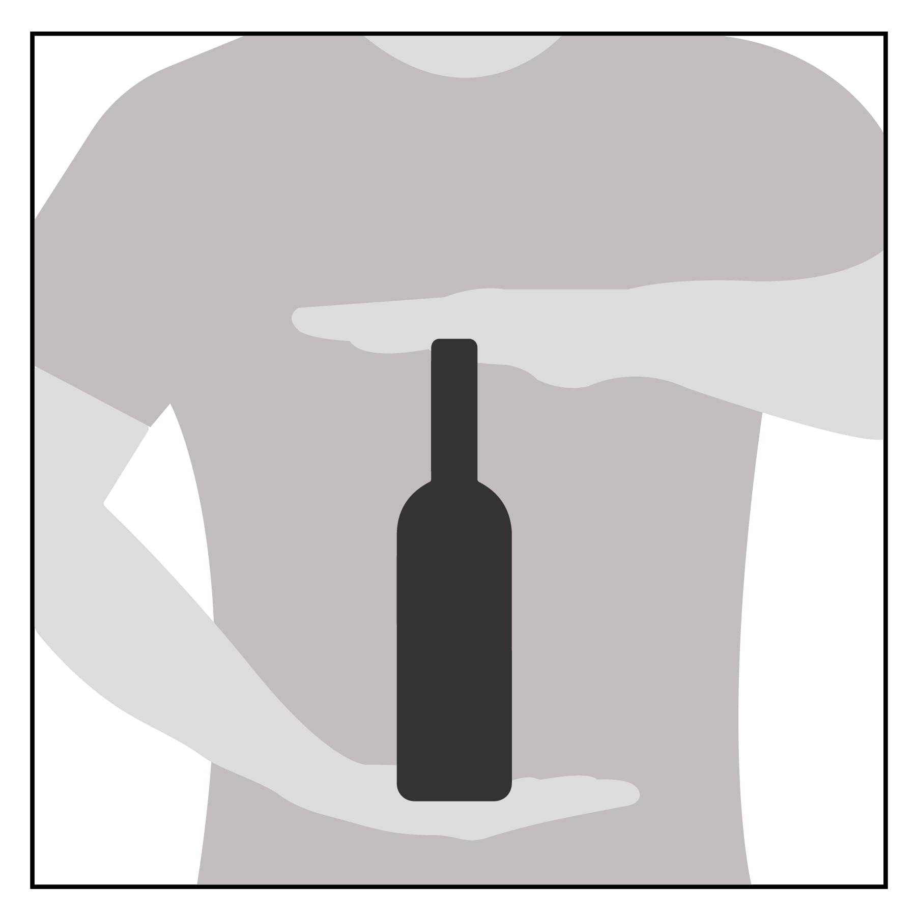 Santa Ema Merlot Red Maipo Valley, Chile Wine, 750 ml Glass Bottle, 13.5% ABV