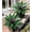 Purple-no Pot, variant on General Fake Plants, 2 Pcs 21.7 Inch Bromeliads Large Artificial Plants Outdoor Faux Plants UV Resistant Realistic Tropical Greenery Outside for Planter Porch Patio Yard Garden Indoor