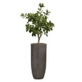 thumbnail image 1 of Artificial Tung Tree 52" Fake Plant Real Touch with Planter, 1 of 3