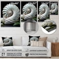 thumbnail image 4 of Designart "Nautilus Sheels Animal " Animals Metal Art Living Room, 4 of 5