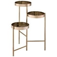 thumbnail image 4 of Ergode Plant Stand Gold, 4 of 4
