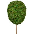 thumbnail image 3 of Northlight 14" Reindeer Moss Ball Potted Artificial Spring Topiary Tree - Green/White, 3 of 6