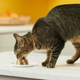 thumbnail image 4 of Meow Mix Tasty Layers Swirled Pate Wet Cat Food Variety Pack, 12 cups, 2.75 oz Each, 4 of 11