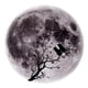 thumbnail image 5 of Vinilo decorativo globo mundo Soledad Calcomanía de Pared Brillo en Oscuridad 3D Gris, 5 of 9