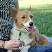 Safari Dog Undercoat Rake, Double Row