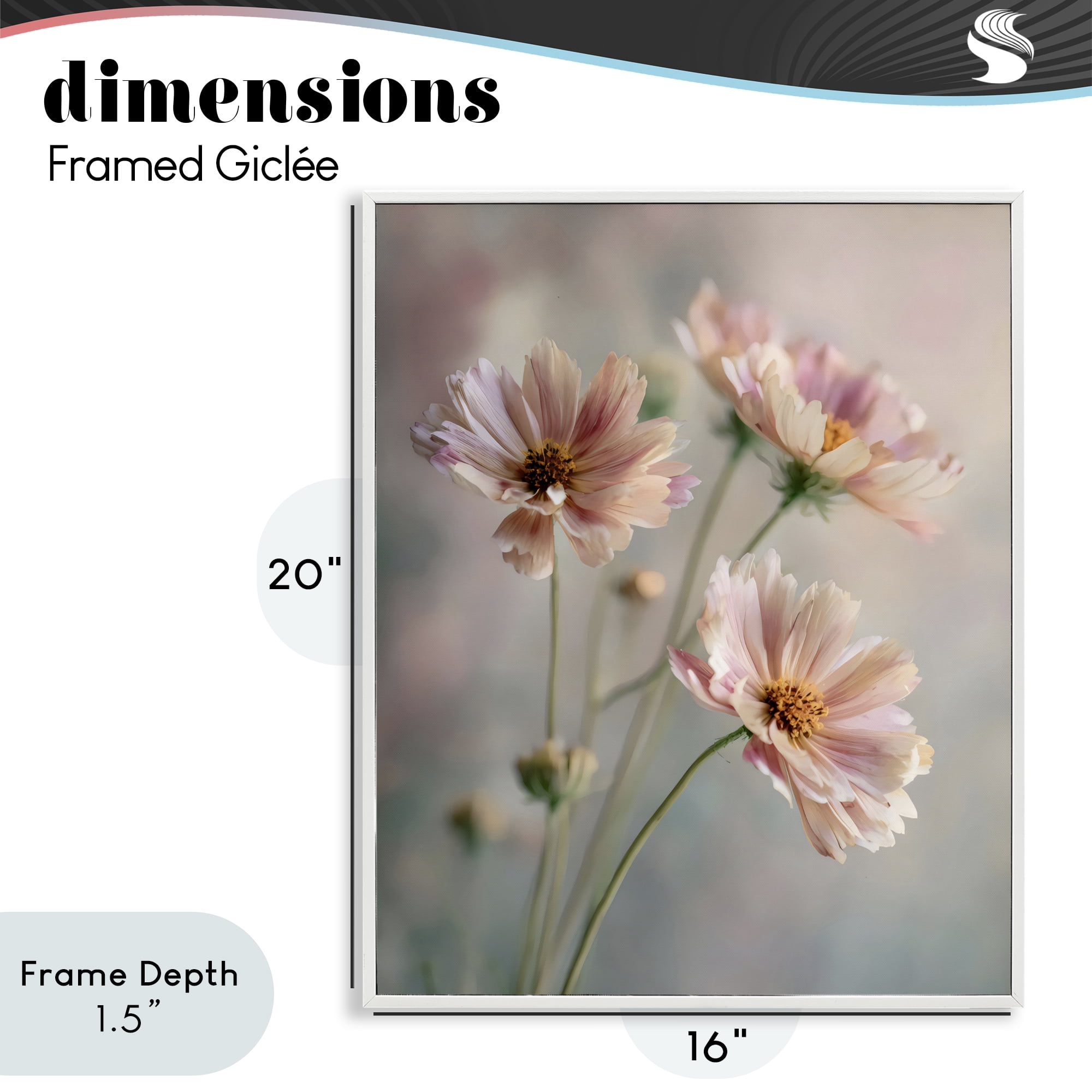 Stupell Industries Pink Daisies Close Up White Framed Giclee Art, design by Franklyn Gregory