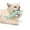 Green, variant on Byujiro Silicone Shark Cat Teething Toy with Catnip Interactive Dental Chew Toy Textured Design for Kittens & Cats to Clean Teeth, Relieve Stress & Boredom