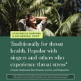 thumbnail image 5 of Gaia Herbs Echinacea Goldenseal Propolis Throat Spray - With Herbs Traditionally Used for Immune Support & Throat Health* - With Licorice, Thyme, Echinacea, Peppermint & More - 1 Fl Oz (56 Servings), 5 of 9