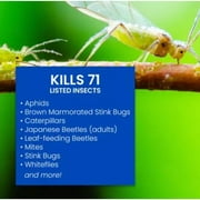 BioAdvanced Complete Insect Killer for Soil and Turf, Concentrate 40 Oz