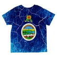 thumbnail image 2 of Kansas Vintage Distressed State Flag All Over Toddler T Shirt Multi 6T, 2 of 2