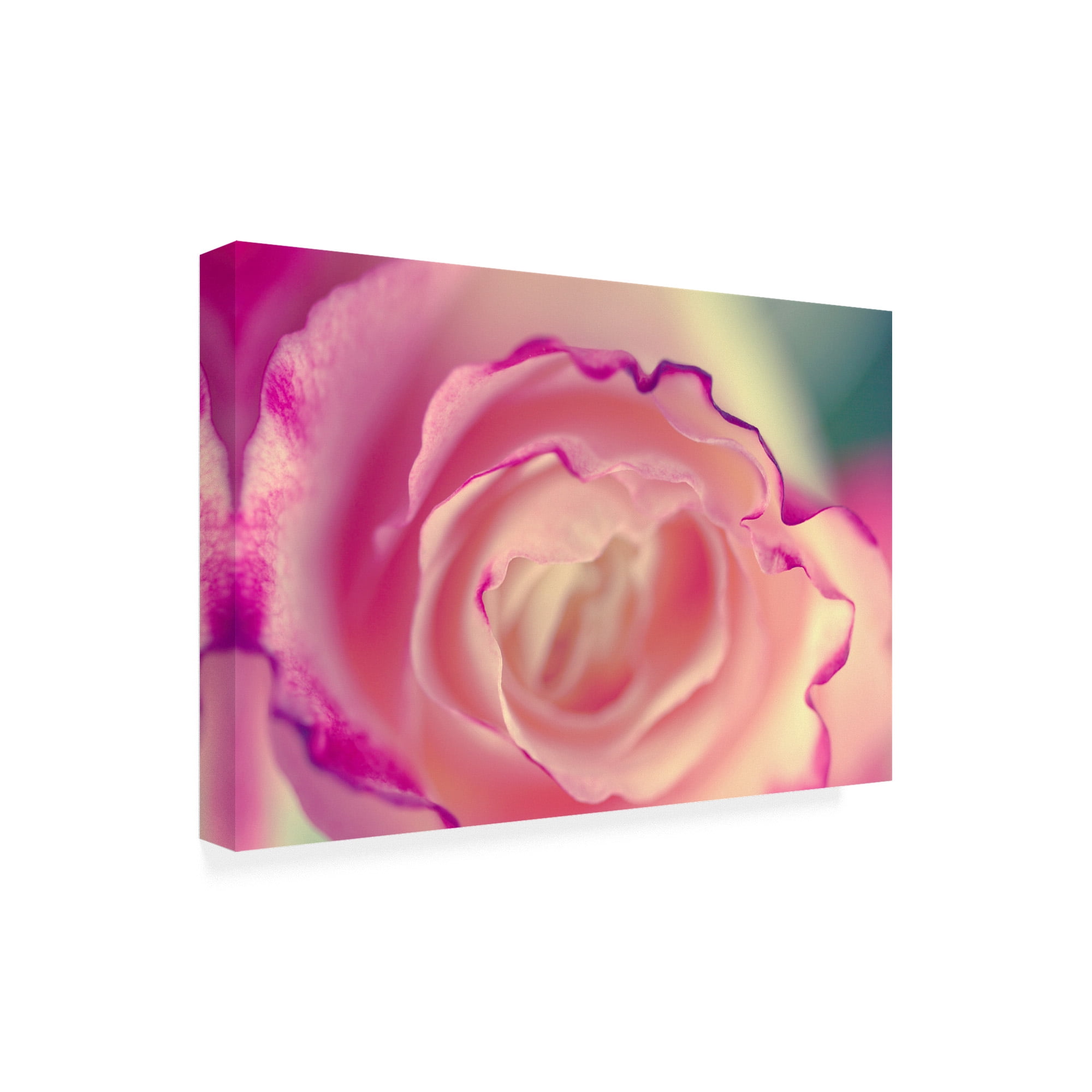 Trademark Fine Art 'BC Scents of Summer' Canvas Art by Beata Czyzowska Young