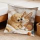 thumbnail image 4 of Uuiauoio Cute Animals Decorative Throw Pillow Cover , Animals Family Animals Outdoor Pillow Cases Square Standard Cushion Cover for Sofa Couch Bed Car 17.72x17.72 inch, 4 of 6