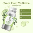thumbnail image 5 of SVA Eucalyptus Essential Oil Organic – 16 Fl Oz – 100% Natural Organic Eucalyptus Oil for Hair, Face, Skin Care, Diffuser, Aromatherapy, Scalp, Body Massage, Soap and Candle Making, 5 of 8