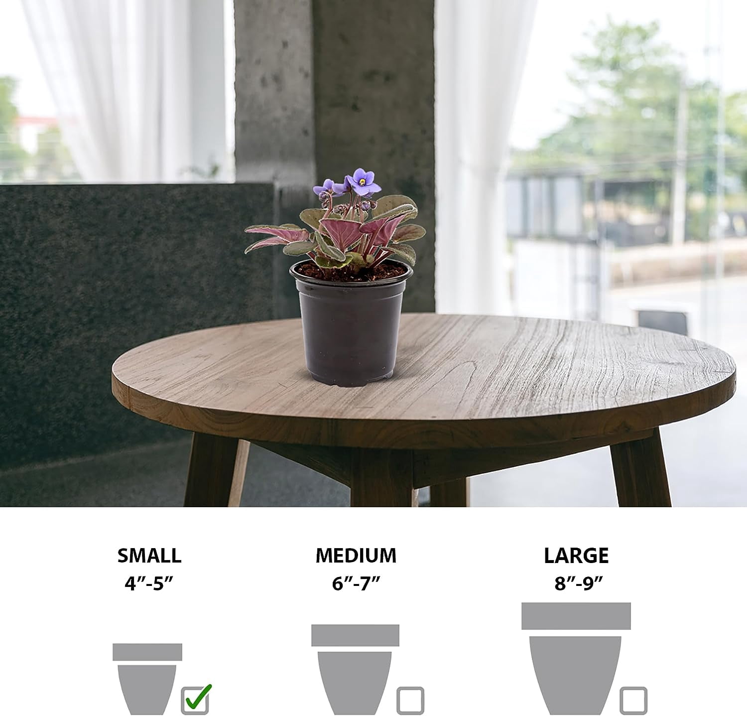 Live Blue Shade Violets, Flowering Christmas Gift, Blooming Housewarming Gift, Grandma Birthday Gift, Plant Lover Gift, Fully Rooted Indoor Plant in 4" Pot