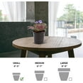 thumbnail image 5 of Live Blue Shade Violets, Flowering Christmas Gift, Blooming Housewarming Gift, Grandma Birthday Gift, Plant Lover Gift, Fully Rooted Indoor Plant in 4" Pot, 5 of 5