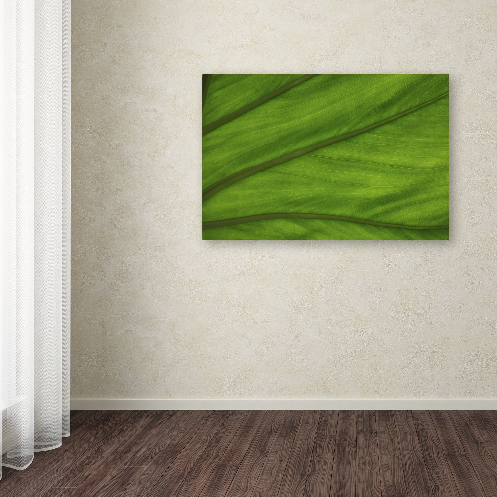Trademark Fine Art "Green Elephant Ear Leaf Abstract" Canvas Art by Kurt Shaffer