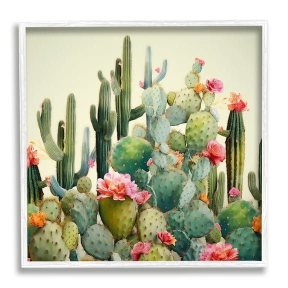 Stupell Industries Prickly Cactus Blooms Botanical & Floral Painting White Framed Art Print Wall Art, 17 x 17