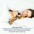 thumbnail image 6 of PupSheets Hair Resistant, Antimicrobial & Cooling Duvet Cover and Sham Set, 6 of 9