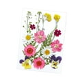 thumbnail image 3 of Flores prensadas secas Strade Fareast Limited juego de flores artesanales, 3 of 8