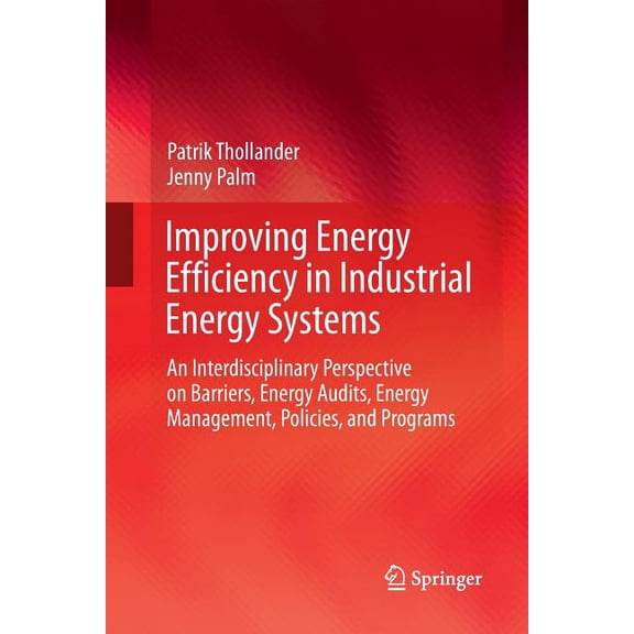 Improving Energy Efficiency in Industrial Energy Systems: An Interdisciplinary Perspective on Barriers, Energy Audits, E, (Paperback)