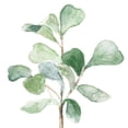 thumbnail image 3 of Loreth, Lanie 12x12 Black Modern Framed Museum Art Print Titled - Fiddle Fig Leaf Plant I, 3 of 5