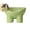 Green, variant on Cat Bowl, Elevated Pet Bowl, Anti-Vomiting Tilted Elevated Cat Food Bowl, Whisker Friendly Slanted Feeding Bowls with Shallow & Tall Design