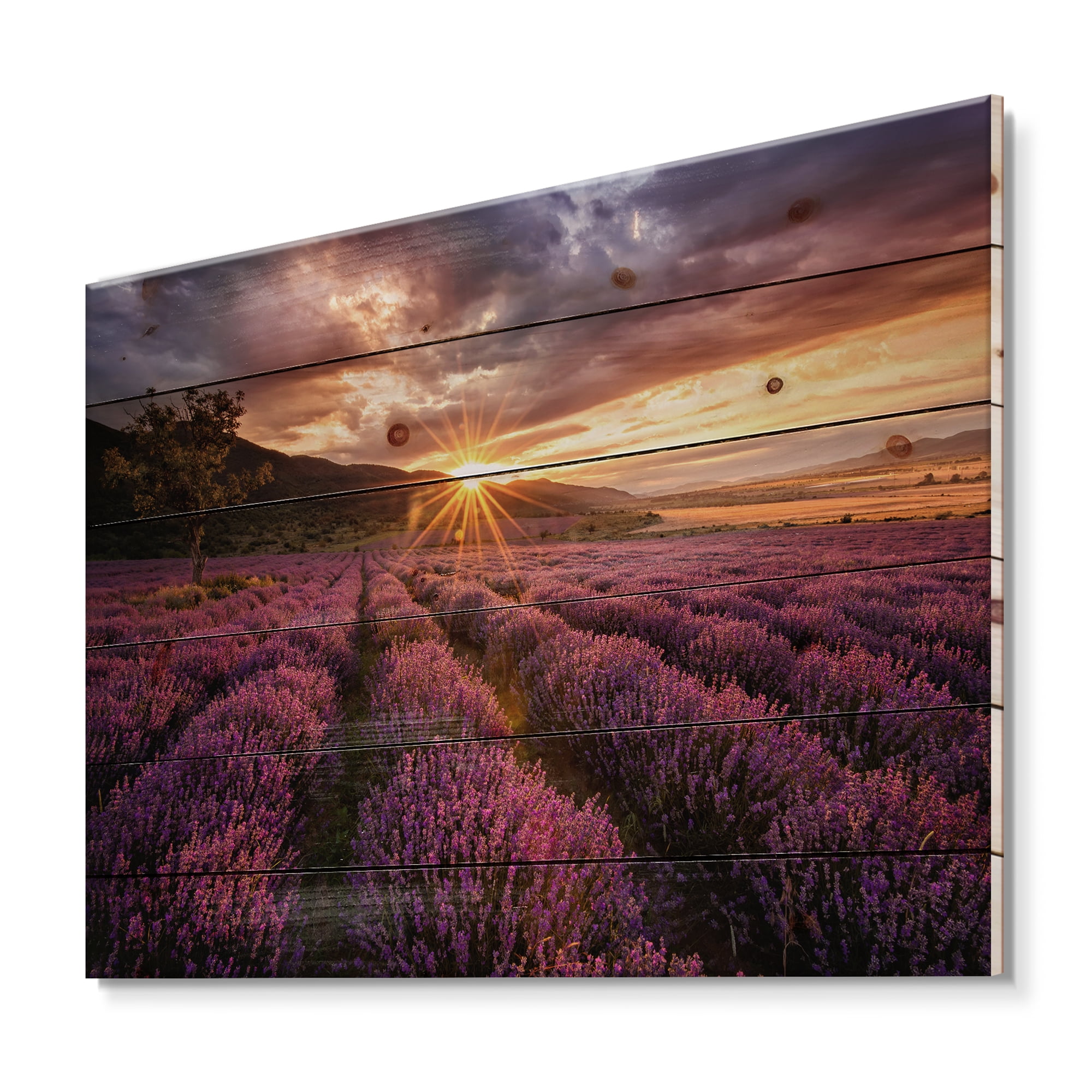 Designart 'Dramatic Clouds and Sunrise Over Lavender Field IV' Farmhouse Print on Natural Pine Wood