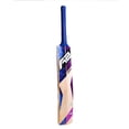 thumbnail image 2 of A2 Crest Kashmir Willow Cricket Bat All- Round , Balanced & Light Weight , Includes Padded Bat Cover | Ideal For Men , Multicolour, 2 of 5