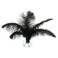 thumbnail image 1 of 100uds Plumas de Avestruz Unique Bargains 8-10 Pulgadas Negro, 1 of 7