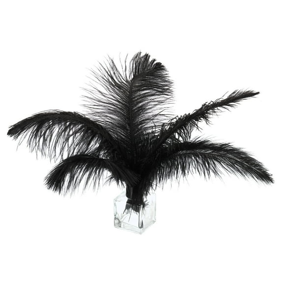 120 Pcs Natural Black / White Ostrich Feathers for Wedding Party Centerpieces,Flower Arrangement Home Decoration (Black)