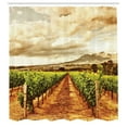 thumbnail image 3 of Ambesonne Country Shower Curtain, Cloudy Vineyard in Fall, 69"Wx70"L, Burnt Orange Off White, 3 of 5