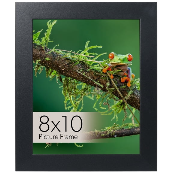 8x10 Black Picture Frame for Tabletop Display with Clear Glass, Easel Back, and Modern Style