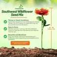 thumbnail image 3 of Outsidepride Southwest Wild Flower Seed Mix - 1 lb. Heat & Drought Tolerant Premium Blend of Annual & Perennial Wildflower Seeds for Planting on Outdoor Lawns & Gardens from Spring to Fall, 3 of 5