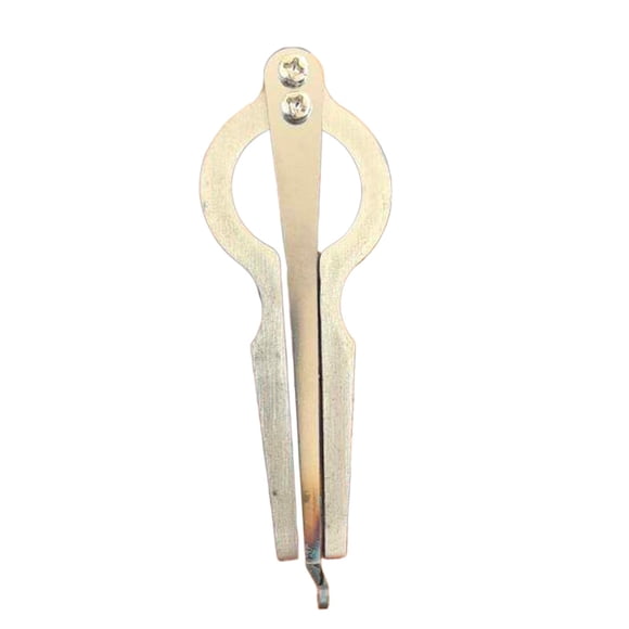 Arpa de boca profesional, ligera, fácil de transportar, étnica, para niños y adultos, compacta, instrumento musical tradicional.