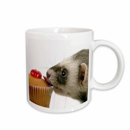 

3dRose Ferret Eating Cupcake Ceramic Mug 15-ounce