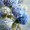 Blue Hydrangea Floral, variant on UXIEQU Vintage Rabbit Portrait Oil Painting Canvas Wall Art 15.75x11.81 Inches
