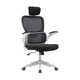 thumbnail image 1 of EKE Silla Ejecutiva Escritorio Oficina Ergonomica Moderna Mesh Fresca Duradera Soporte Lumbar (Negro), 1 of 5
