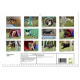 thumbnail image 2 of Flying dogs in agility (Monthly Wall Calendar 2026 16.5 x 23.4 (open)), CALVENDO 14 Month Calendar, 2 of 9